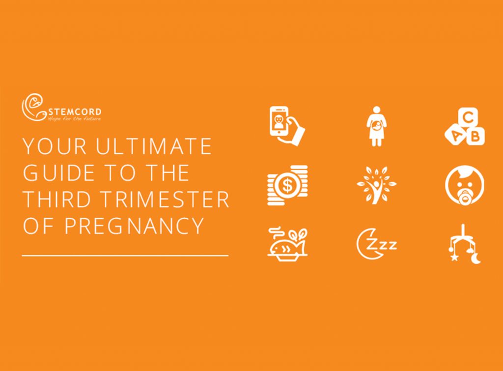 Stemcord Your Ultimate Guide To The Third Trimester Of Pregnancy 